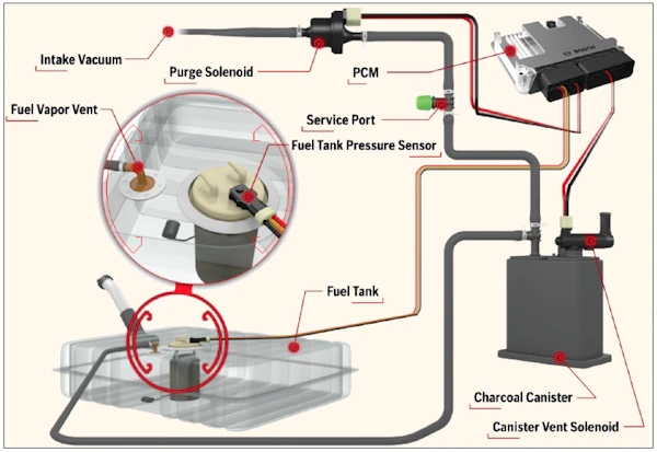 EVAP System